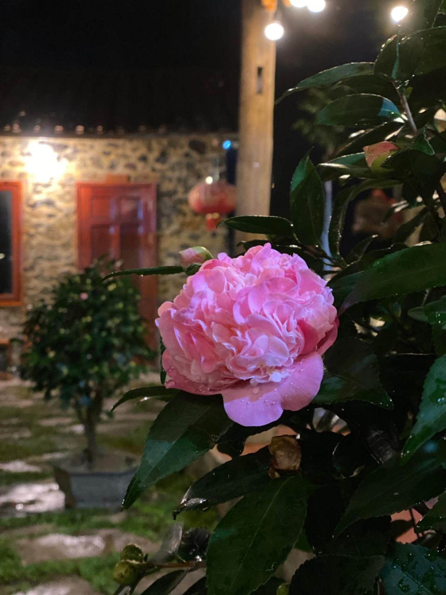 Lan Rung Homestay Lung Nieo Exteriér fotografie